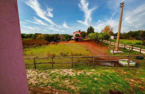 piccolo casale a "le Moline" in una vera fattoria - Foto 34