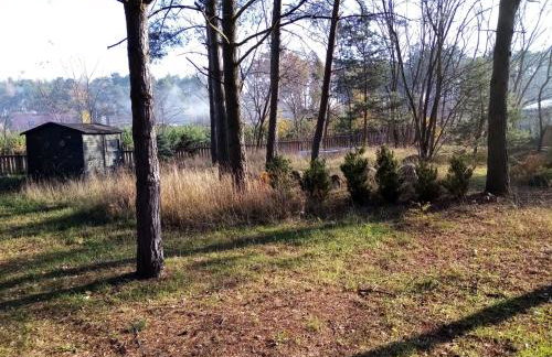 Kamiennikove - Foto 30