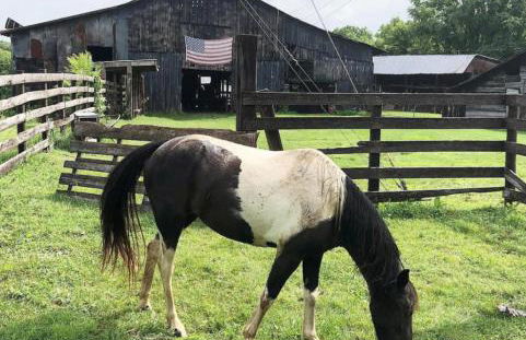 Crocketts Cabin - Foto 8