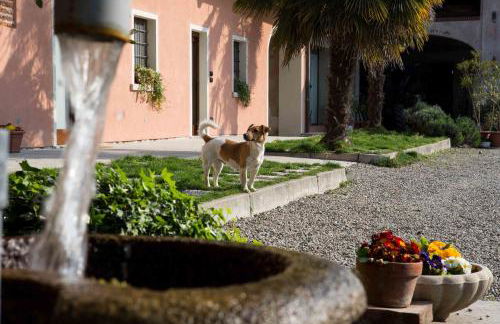 Tenuta Valtoppa - Foto 44