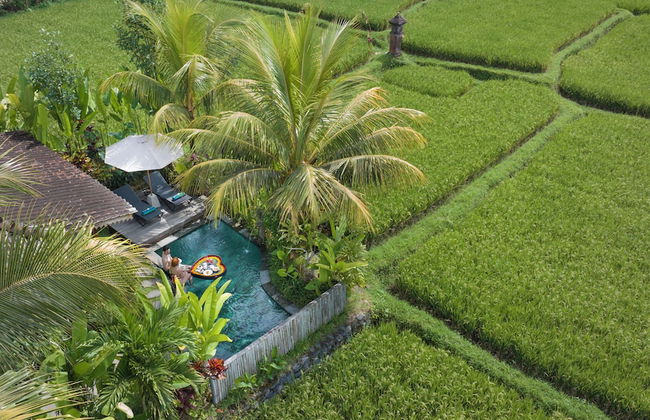 Santris Villa by GenuineHost - Foto 34