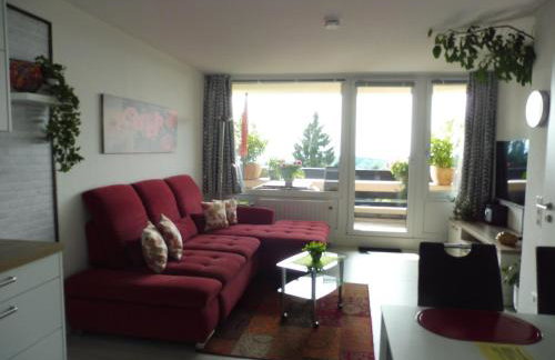 Komfortable Wohnungen und Studio in Sankt Englmar - Foto 70
