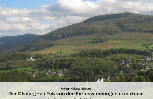 Ferienwohnungen Sauerland und Olsberg - Foto 38