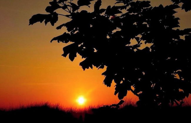 Relaxing Family Getaway in South Shields - Photo 11