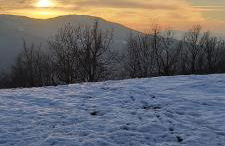 SO MAGIC - La casa nel bosco - Foto 52