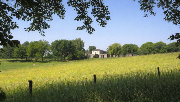 Vrijstaande 10 persoons - Foto 5, House