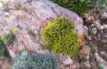 Roussa's House - Foto 59