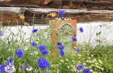 Magiczne Podlasie - Foto 39