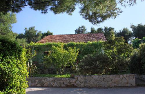 Apartments by the sea Mudri Dolac, Hvar - 118 - Foto 1