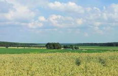 Grooten Wiebkings - Foto 21