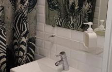 Beauval Saint Aignan,châteaux de la Loire gîte Le Royaume Sauvage - Foto 12