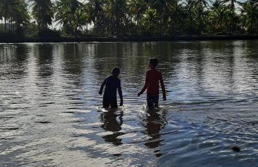 Estudio Lirios seu cantinho ecológico na natureza - Foto 23
