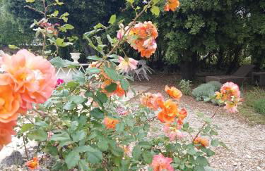 Les Gites du Mont Ventoux - Foto 70