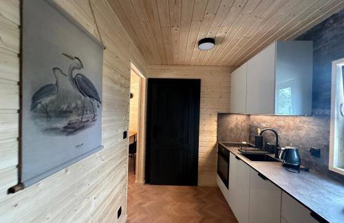 DOMKI Leśna Cisza jezioro Powidzkie dla 18 osób - 5D Apartments - Foto 9