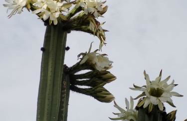 Dimora di nonna Nina - Foto 19