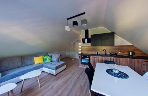 Apartamenty Buczyna w Sierakowie - Foto 58