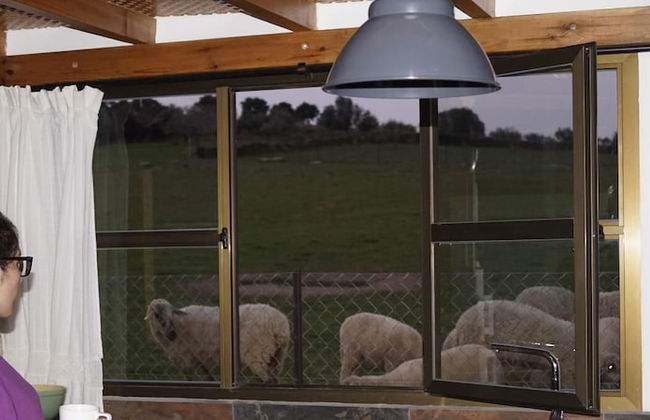 Apartamentos Estrellas de Monfragüe - Photo 38