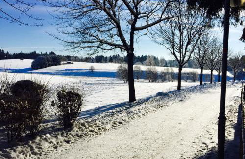 Blechleppel - Die Pension im Harz - Foto 24