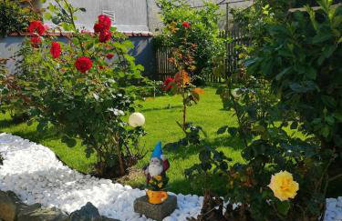 Apartman Suzana - Photo 21