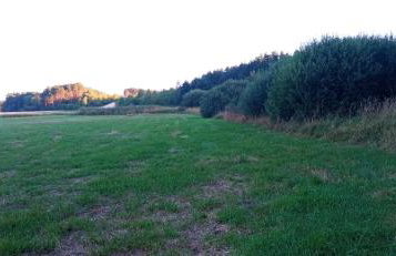 Augustówka - letnisko na Wrzosowiskach - Foto 42