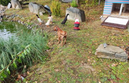 SielskoAnielsko k. Karpacza - Foto 20