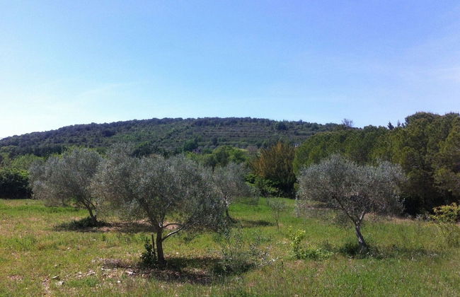 Country House in Orb Mountains Near Salagou Lake - Foto 39