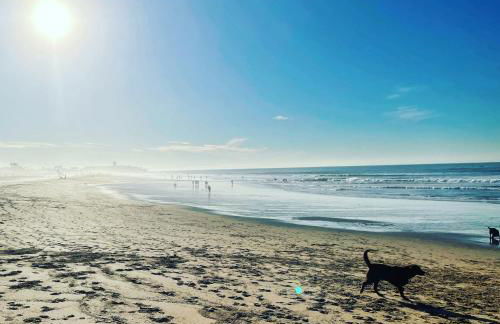 NEW 3 Bedroom Beachfront Apartment - Foto 4