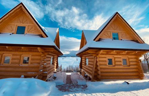 Domki Góralskie Dwa Misie - Foto 62