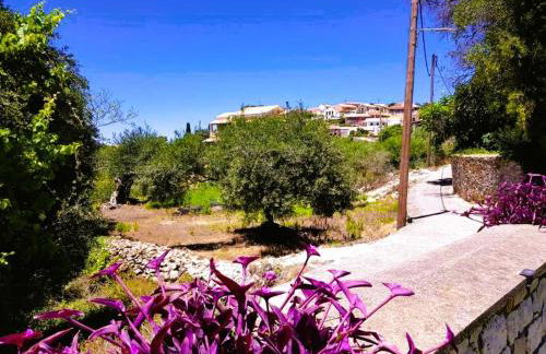 Villa Spiti Ute - Foto 4