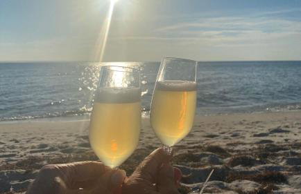 Oasis of Nature - Foto 44