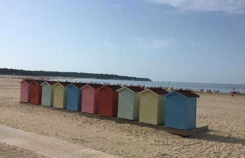 Lis du Japon - Foto 11