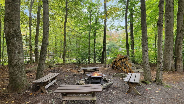 Moshannon Tree-lined Pocono Retreat w Hot Tub Firepit Pool Table - Foto 3, Habitación