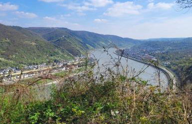 Traumpfade - Foto 16