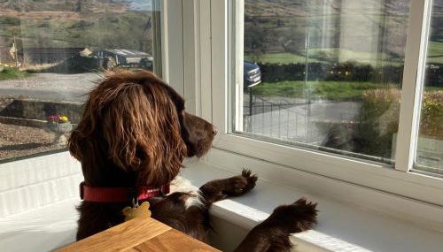 Stony Thwaite - Foto 5