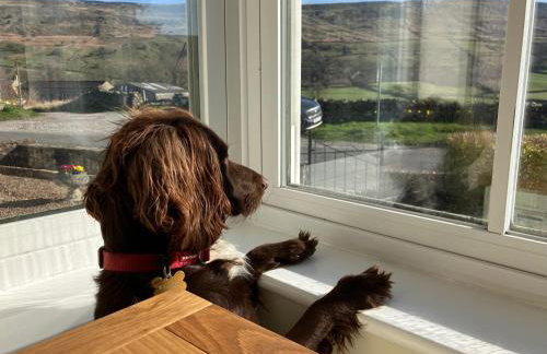 Stony Thwaite - Photo 5