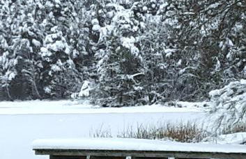 Bungalow direkt am See, mit eigenem Boot - Foto 1