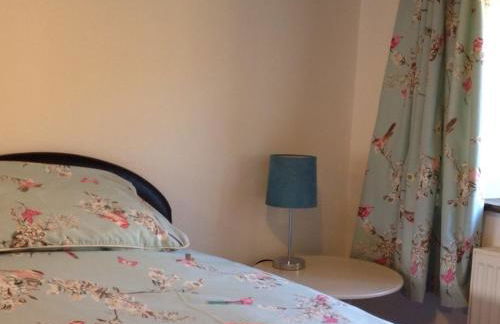 Llwyn Llwyd Cottage - Photo 22