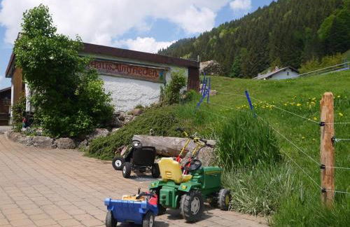 Ferienhof Almfrieden - Photo 11