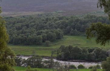 The Dell at Glenlivet - Foto 19