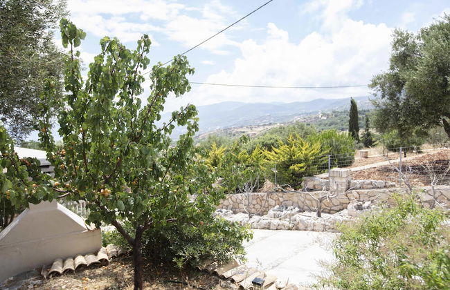 Anemos Studio - Foto 46