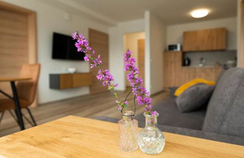 Vis Saar Vie - Ferienwohnungen an der Saarschleife - Foto 48