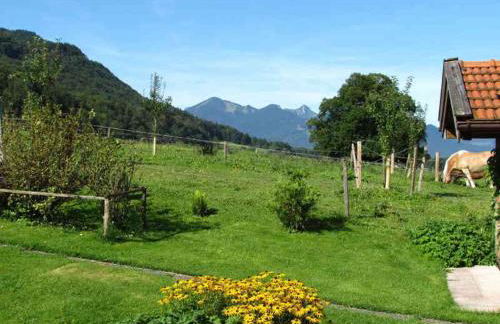 Ferienwohnungen Rosenegger - Photo 10