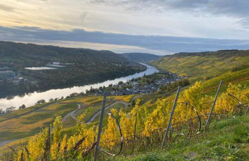 Apartment an der Mosel 2 - Foto 7