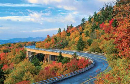 DwtnlParkPasslPizzaOvenlFirePitlYouTubeTVlKinglEV - Foto 17