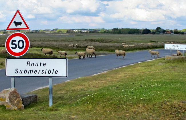 Au Verger Fleuri - Foto 25