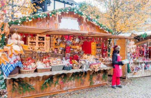 Maisonnette Alsacienne cosy - Foto 30