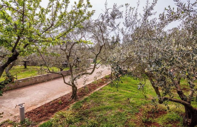 Seaside Oasis Apartments on Island Ugljan - Foto 35