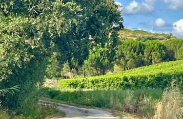 Maçussa Country House - Foto 32