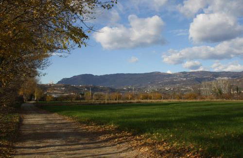 Agriturismo Cantarana - Foto 17