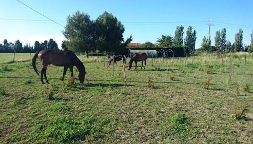 Les prairies Mas Roux - Foto 5